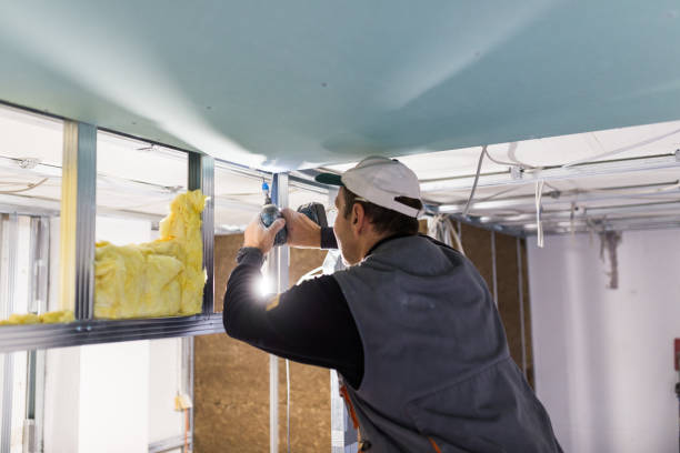 Reliable North Alamo, TX Insulation Solutions